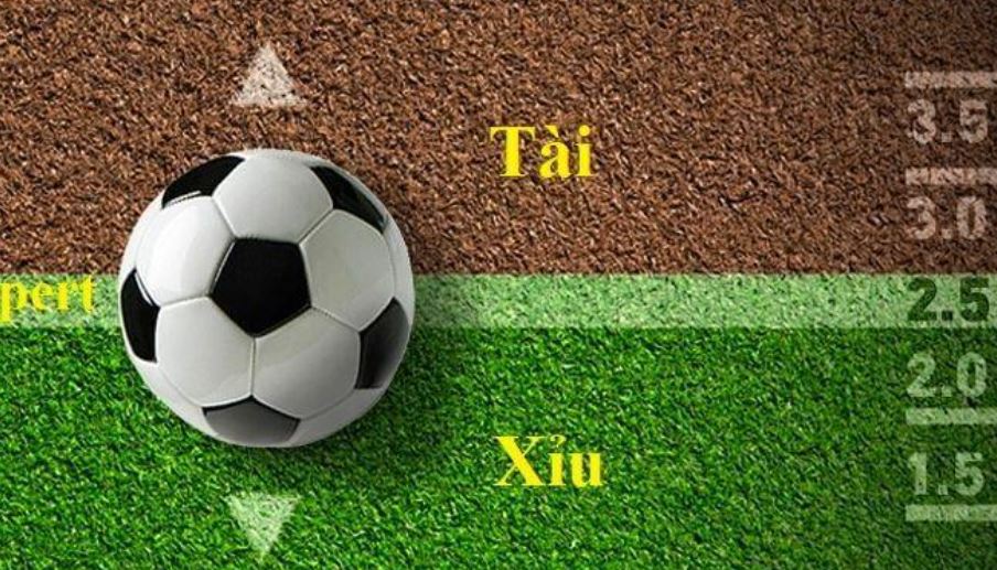 Top 10 Nhà Cái 99WIN Nhà Cái Uy Tín Được Yêu Thích Tại Việt Nam 2025 Top 10 Game Bài Đổi Thưởng Uy Tín Nhất 2025 Cách thức đặt cược hiệu quả khi chơi kèo tài xỉu 2 25